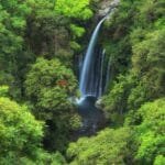 Senaru_Waterfall_of_Tiu_Kelep